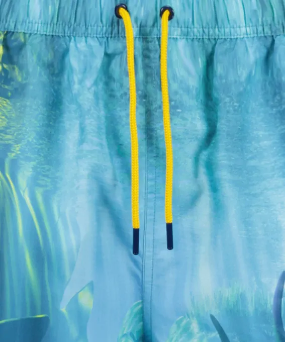 Pánské koupací šortky